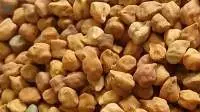 Fenugreek Seed