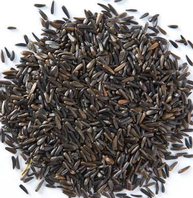 Oil Seeds